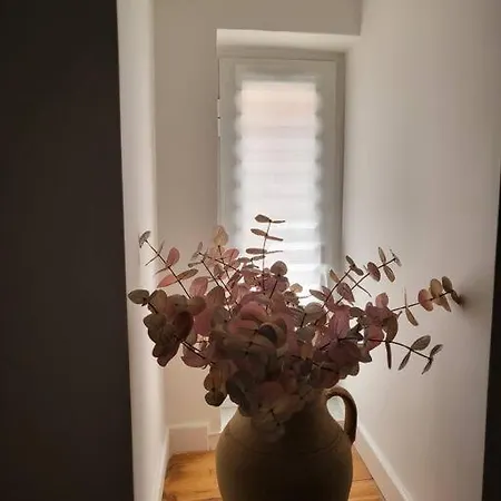 Apartment Mi.6 Naples