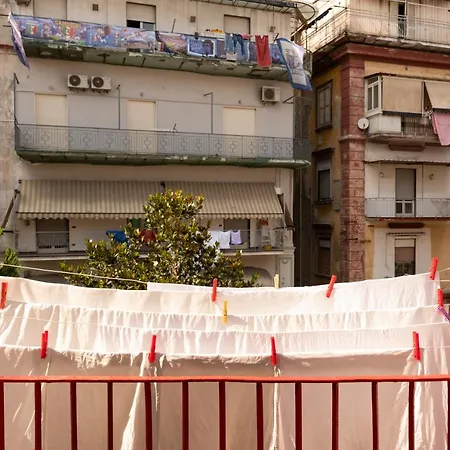 Colonna And Terrace *