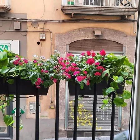 Apartamento F&b