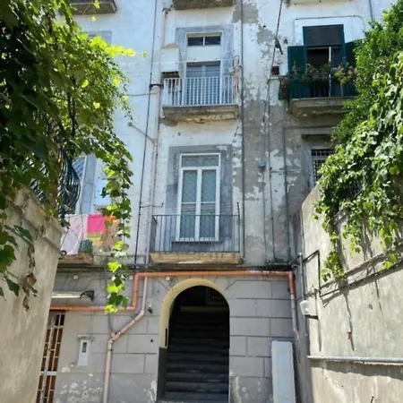 Diego House Museo