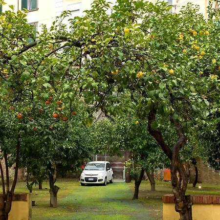מלון Palazzo Sant'antonio 3*