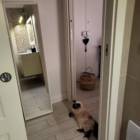 Nel Salotto Di Guest house