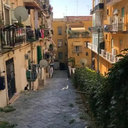 Apartment House Vetriera *