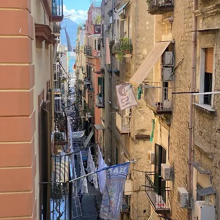 Minerva Naples