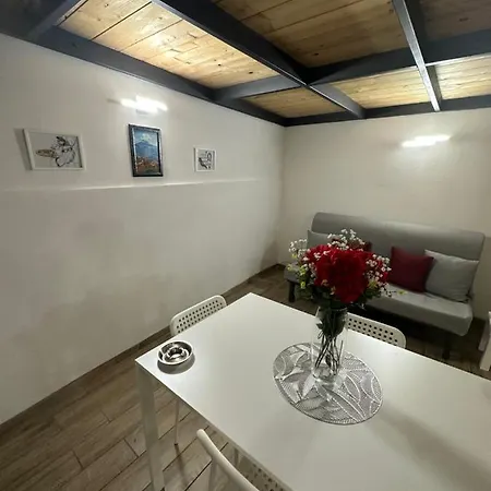 Apartment Aurora House