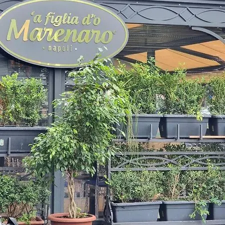 Casa Comoda E In Quartiere Storico Di Casa vacanze Napoli