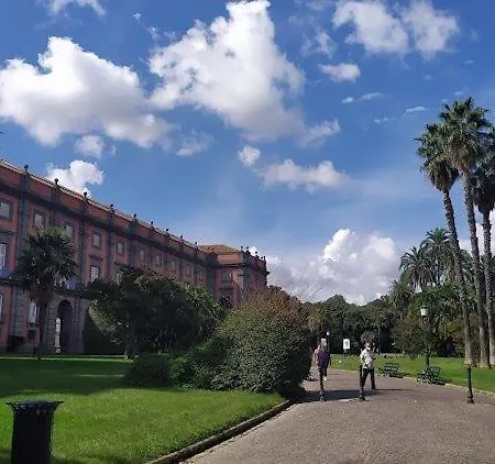 Cagnazzi Naples