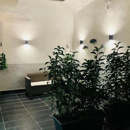 Amonia House Apartment *