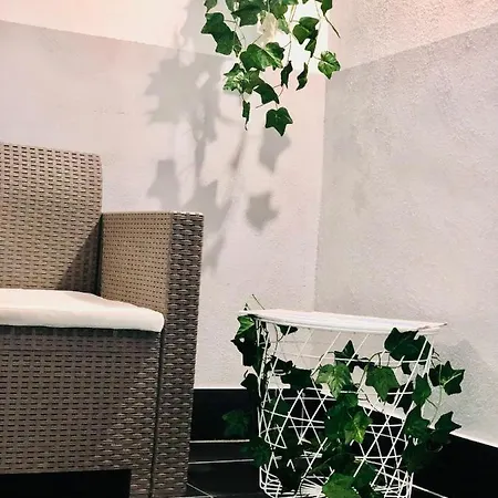 Apartment Amonia House