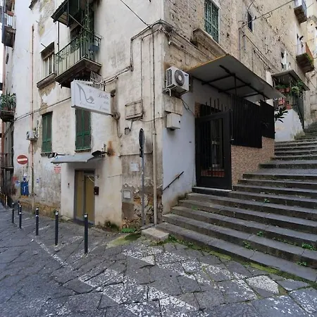 Lidahouse Terrace And Vesuvio View Next Museum By Houseinnaples