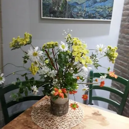 Apartment Casabarina Live In The Center Of
