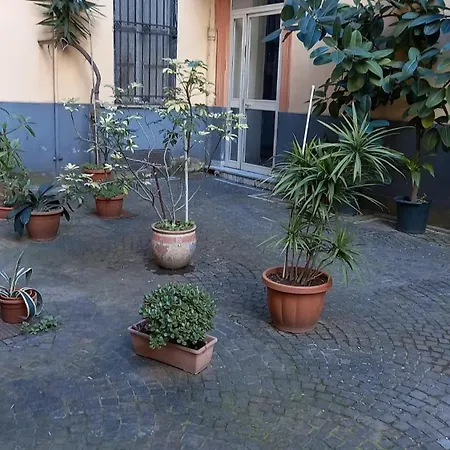 Apartment Domus Mea *