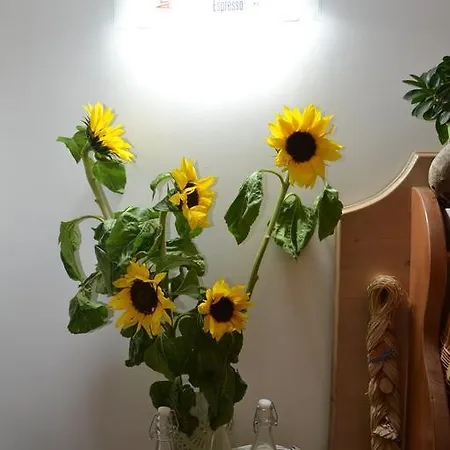 Anna's Family Bed and breakfast Nápoles