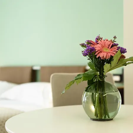 Alma Guest house