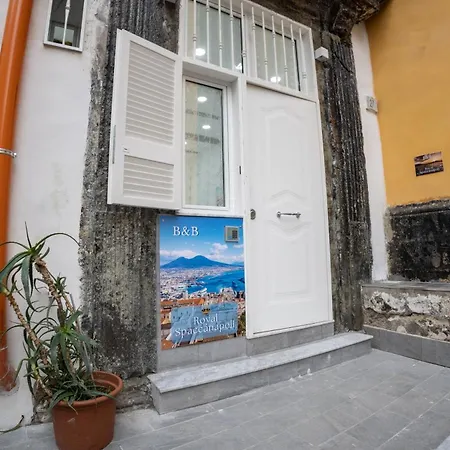 Royal Spaccanapoli Apartment Naples