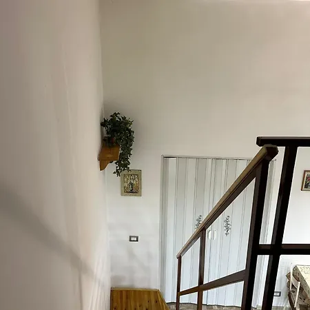 Family House * Naples