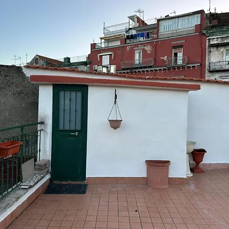 Family House *
