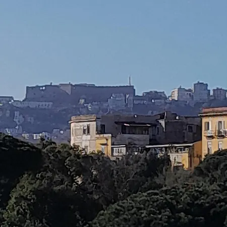 Martini House