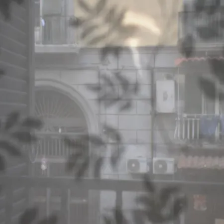 Alessia House Apartment Naples