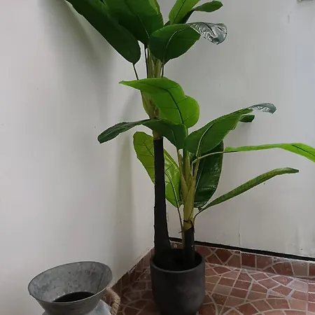 Casa vacanze Vasciò Napoli