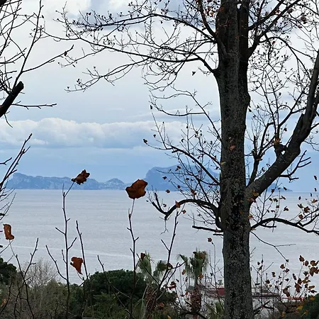 Pf Luxury Petrarca Posillipo Capri View - My Place * Napoli