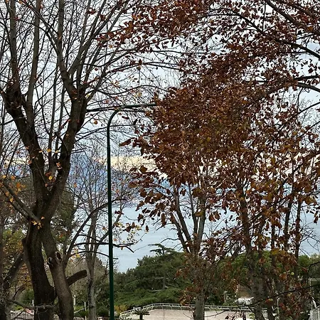 Pf Luxury Petrarca Posillipo Capri View - My Place Napoli