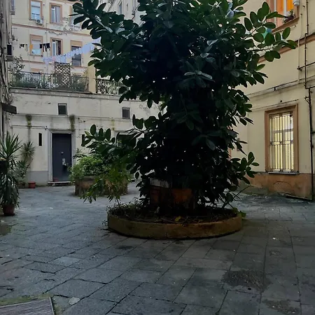 Momarooms * Naples