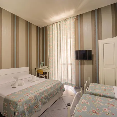Hotel New Sayonara 3*