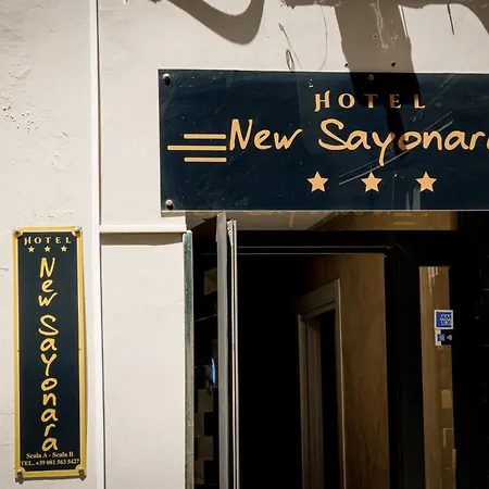 Hotel New Sayonara