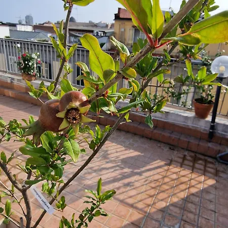 La Terrazza Delle Fate *