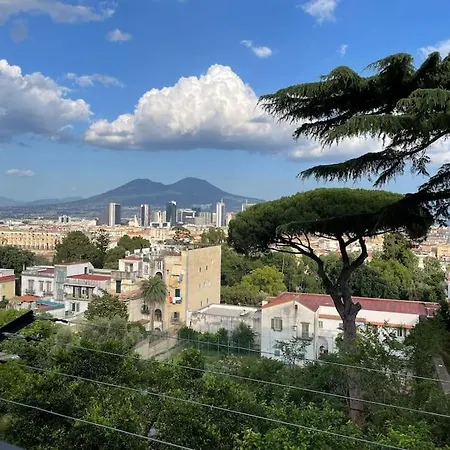 Luxury Panoramic Apartment