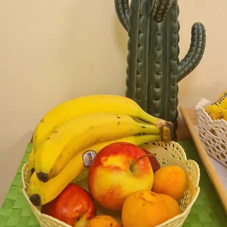 Viky's לינה וארוחת בוקר *