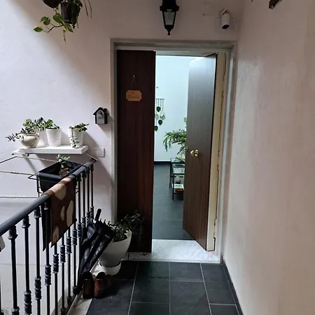 Il Ricordo Per Aver Vissuto Nel Cuore Di Naples