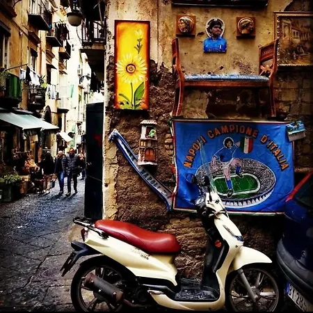 Noviello's