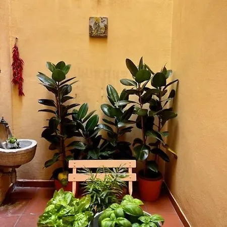 La Casa Dei Librai * Neapol
