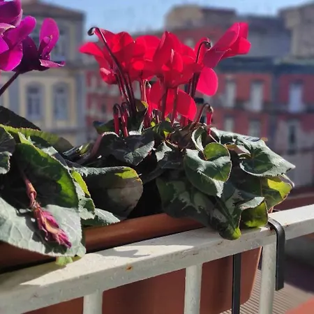 Terno Su Sanita * Naples