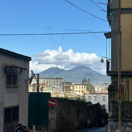 Mg Luxury Napoli