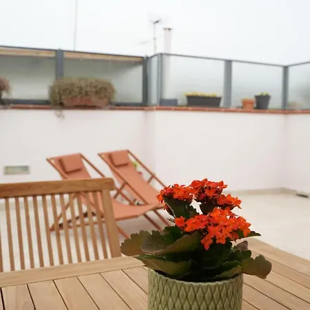 Apartamento Terrazzo 44 *