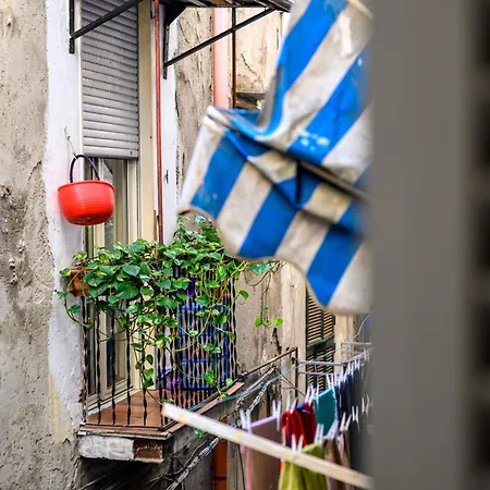 Vico Molino Al Lavinaio 7