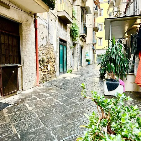 Vesuvius House Naples