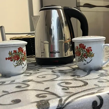 Сasa de vacaciones Sciusciu House *