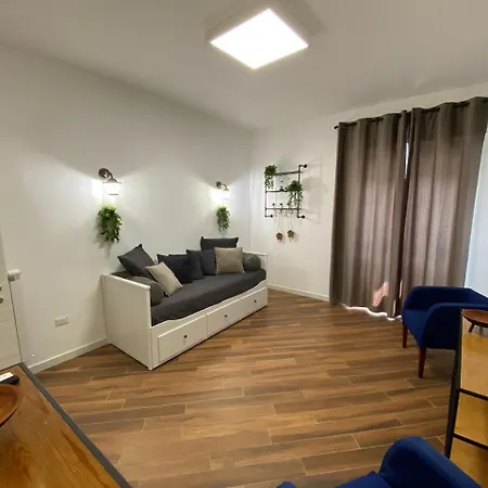 Apartment Fly