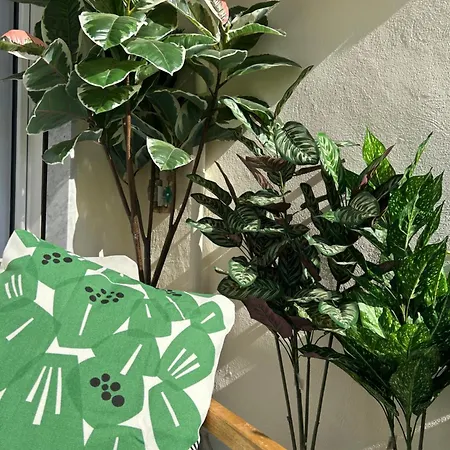 Vakantiehuis Luna E Ambra Vacanze