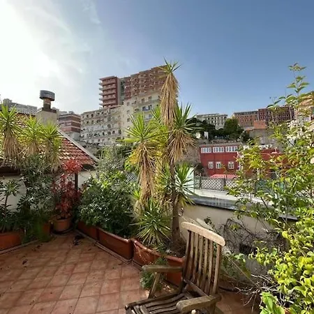 Ventaglieri Panoramic Rooftop In The Historic Center Apartment *