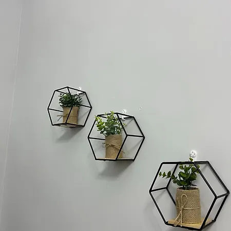 Zimari Naples