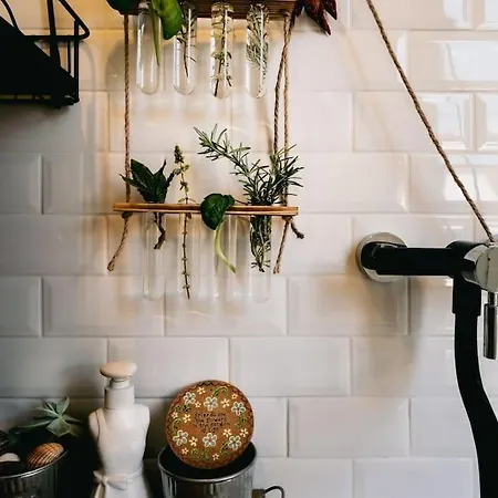 Dreamers' Garden Apartment Naples