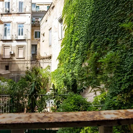 Via Mezzocannone 97 * Naples