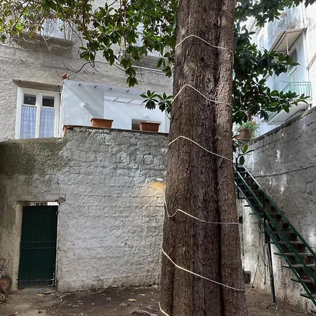 The Royal Gallery Loft In Xvi Century Palace - City Historical Center - Downtown Holiday home