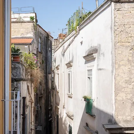 Velato Carafa Palace By Dimorra Guest house