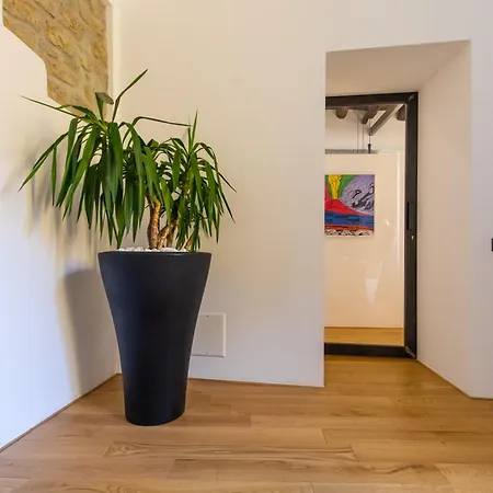 Apartment Amana